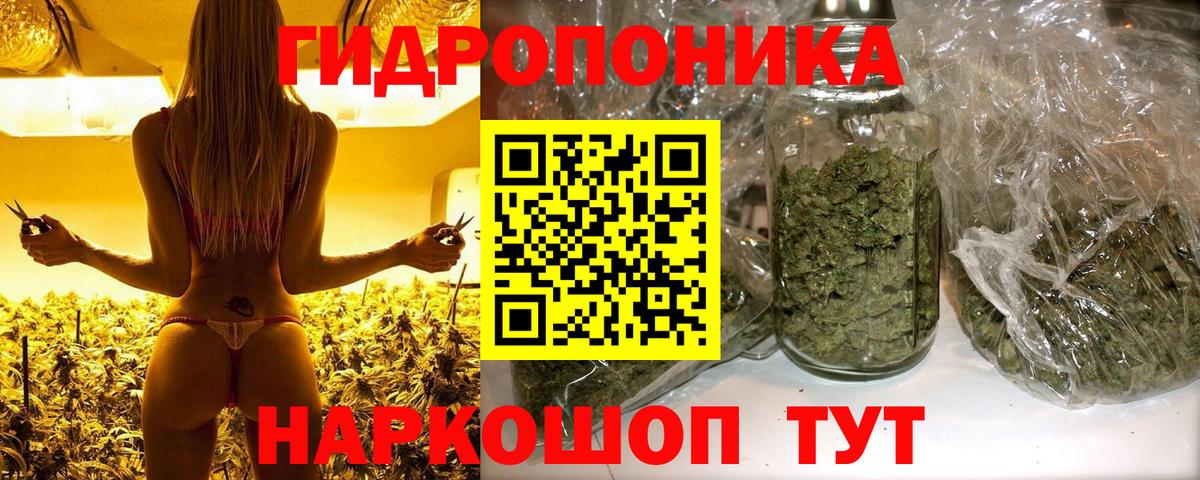 Канабис сатива  Каннабис ГИДРОПОН  Марихуана ГИДРОПОН  Обь  Вход с VPN 